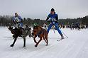 IMG_7029a