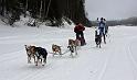 IMG_7125a