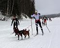 IMG_7151a