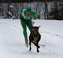 IMG_7264a