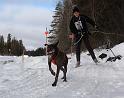 IMG_7426a