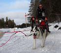 IMG_7497a
