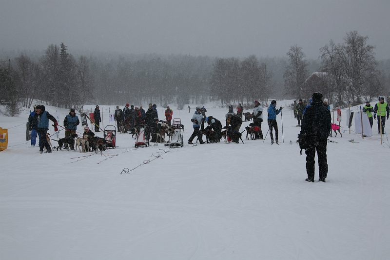IMG_8852.JPG