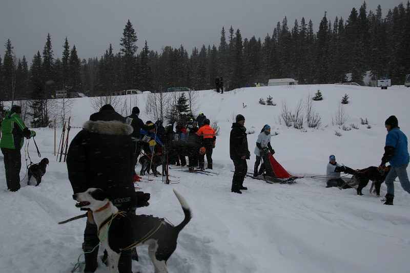 IMG_9142.JPG