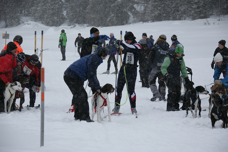 IMG_9257.JPG