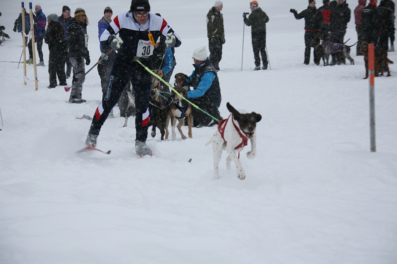 IMG_9264.JPG