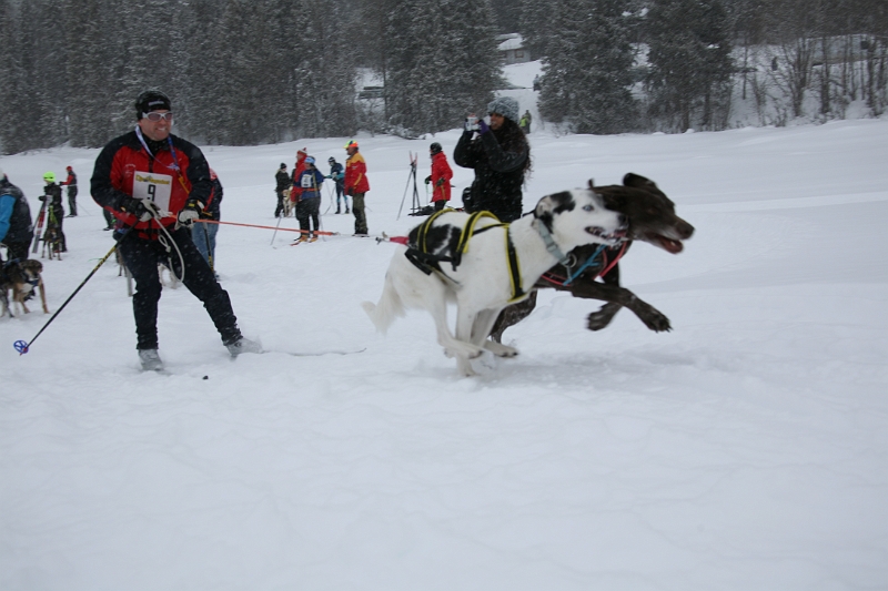 IMG_9276.JPG