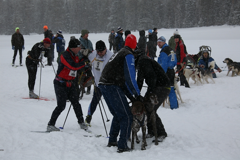 IMG_9362.JPG