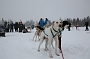 IMG_9000