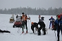 IMG_9351