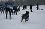 IMG_9391