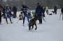 IMG_9400
