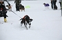 IMG_9431