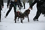 IMG_9439