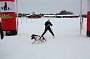 IMG_9564