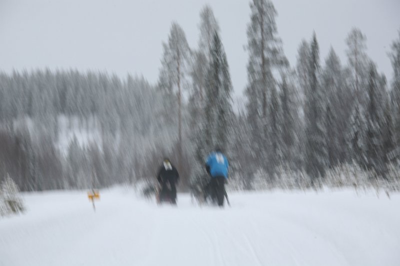 IMG_0005.JPG
