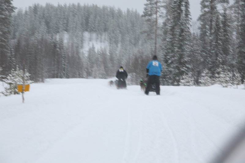 IMG_0013.JPG