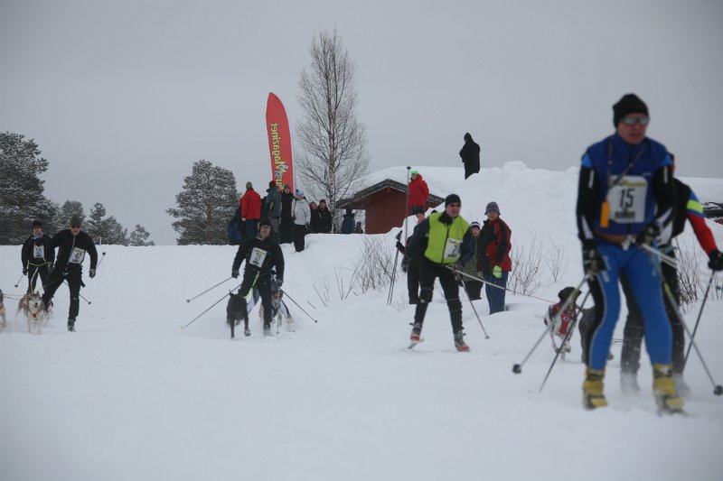 IMG_9683.JPG