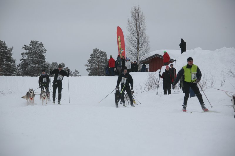 IMG_9684.JPG