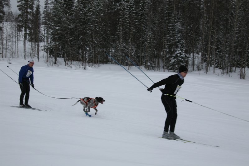 IMG_9744.JPG