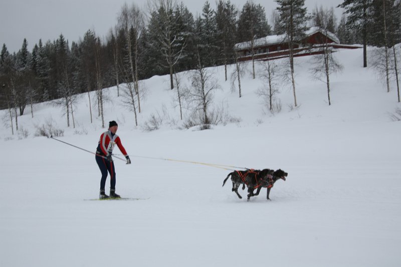 IMG_9778.JPG