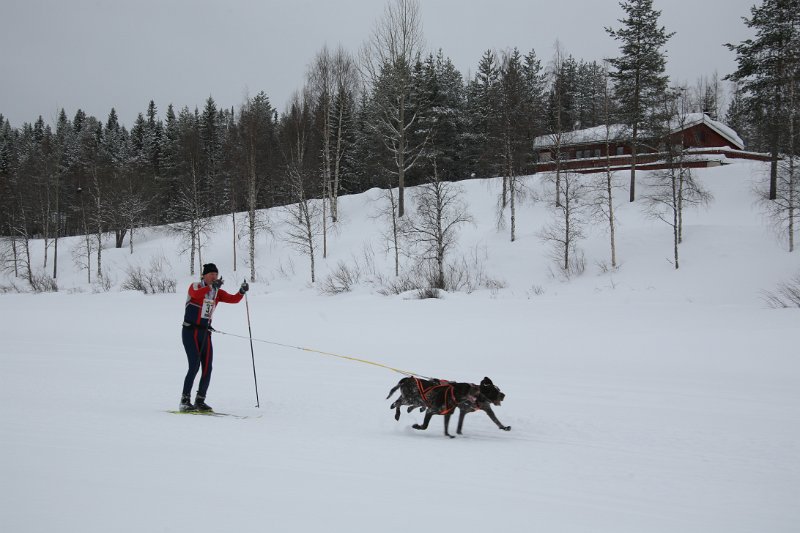 IMG_9779.JPG
