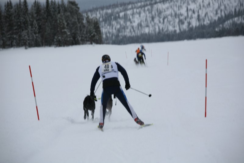 IMG_9846.JPG