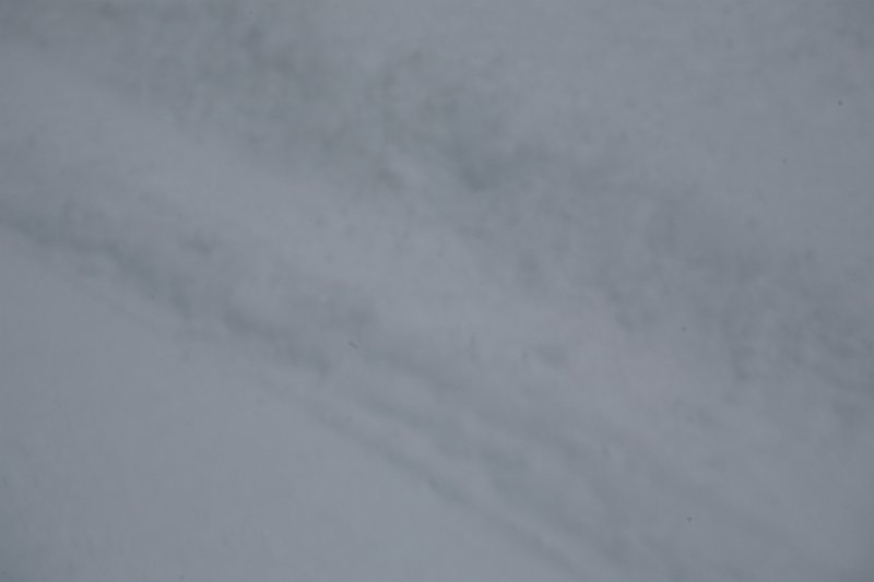 IMG_9916.JPG