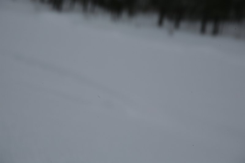 IMG_9917.JPG
