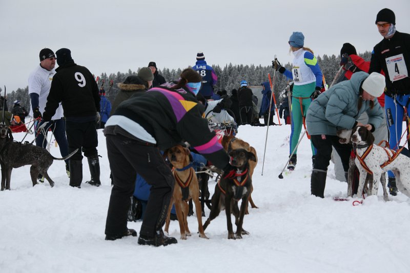 IMG_9966.JPG