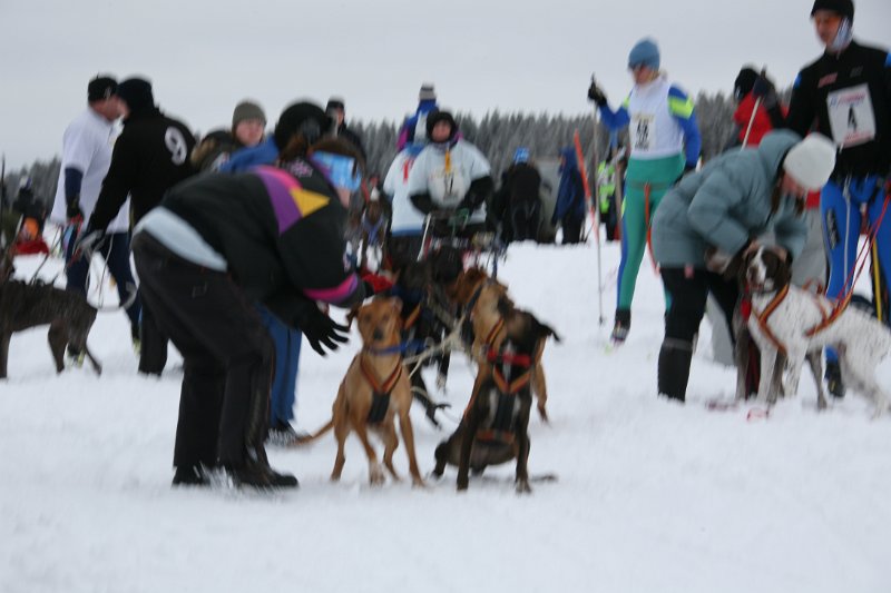 IMG_9967.JPG
