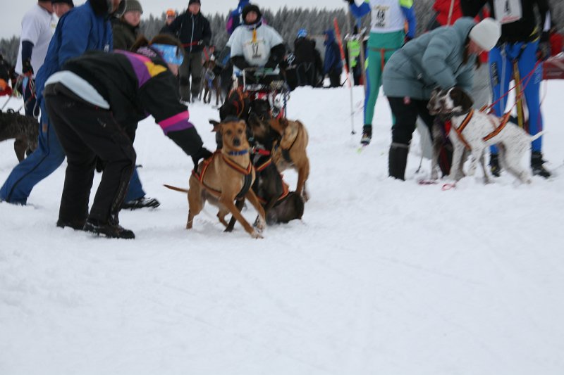 IMG_9968.JPG