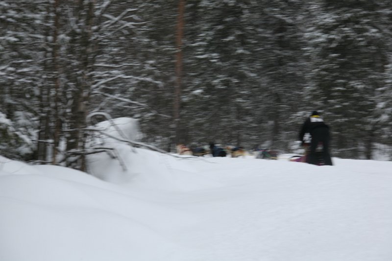 IMG_9983.JPG