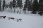 IMG_9738