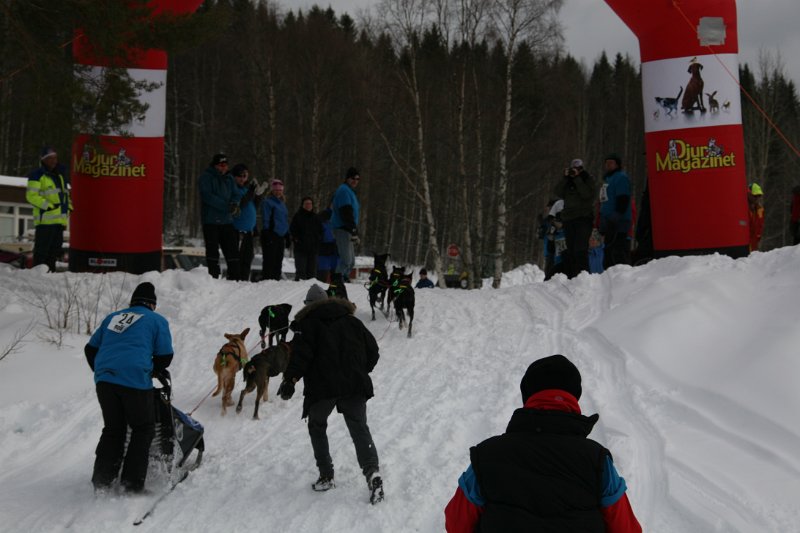 IMG_0782.JPG