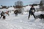 IMG_0445