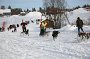 IMG_0459