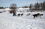 IMG_0465