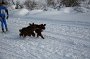 IMG_0470