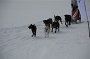 IMG_0790