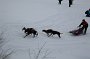 IMG_0901