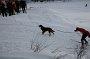 IMG_0951