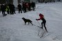 IMG_0952