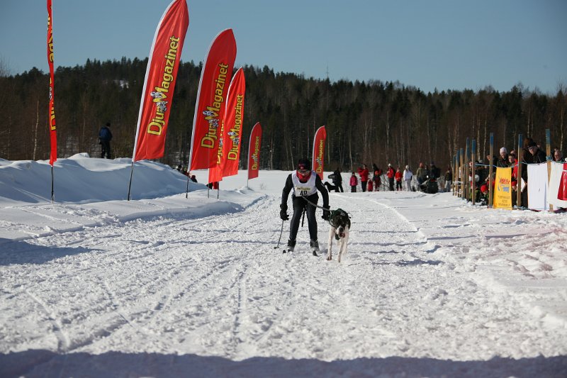 IMG_1267.JPG