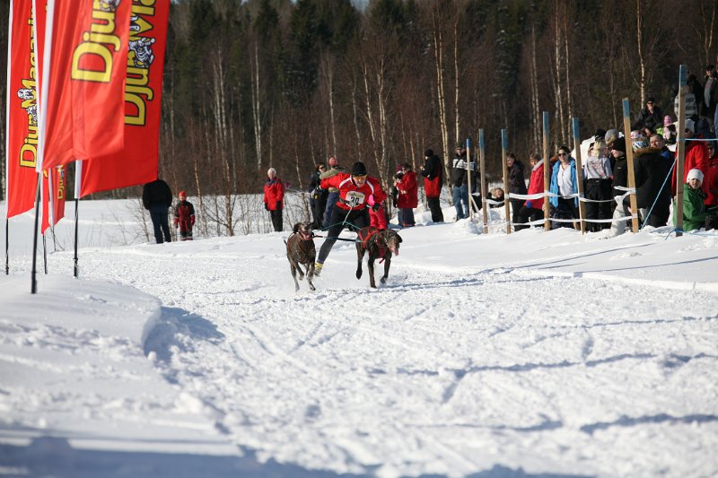 IMG_1312.JPG