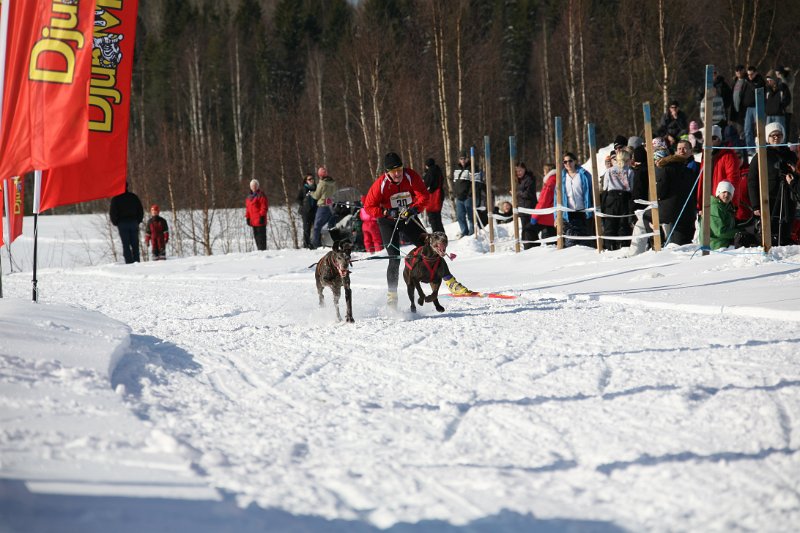 IMG_1313.JPG