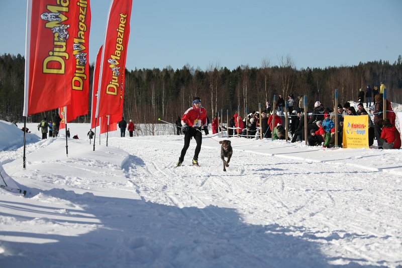 IMG_1330.JPG