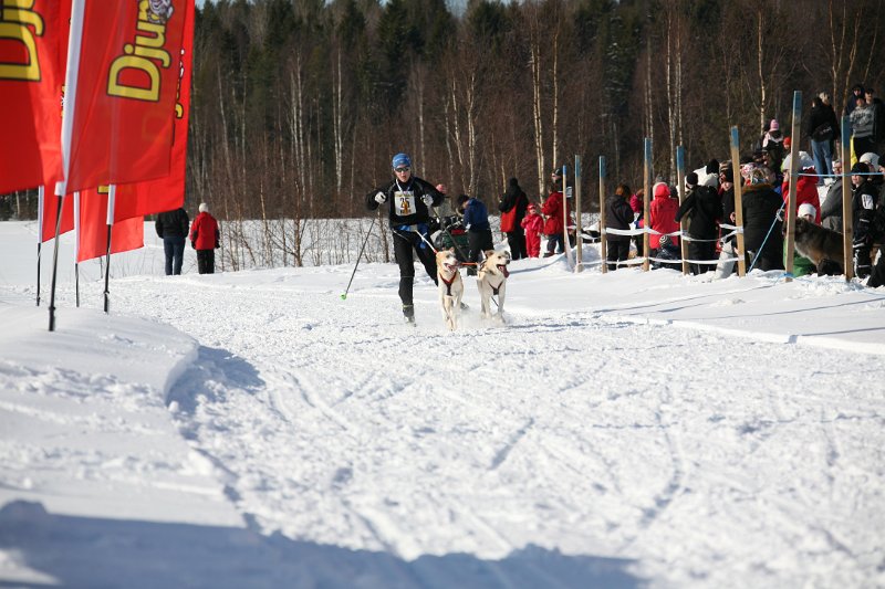 IMG_1337.JPG