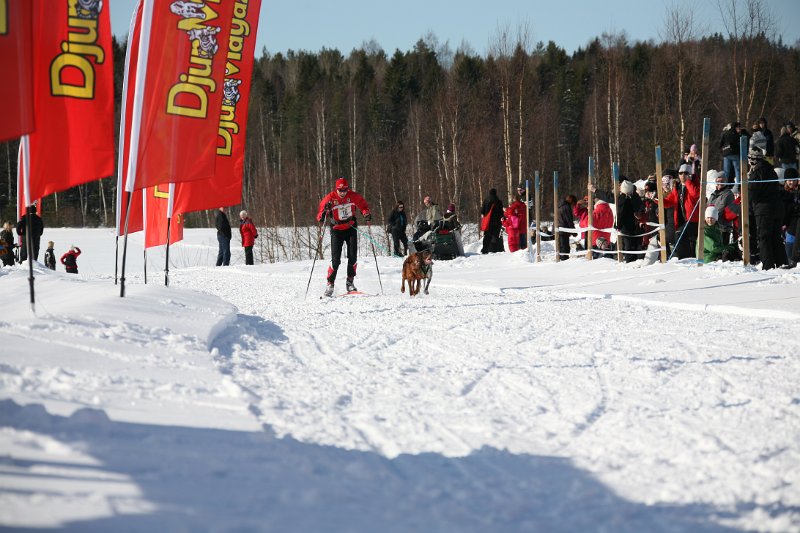IMG_1347.JPG