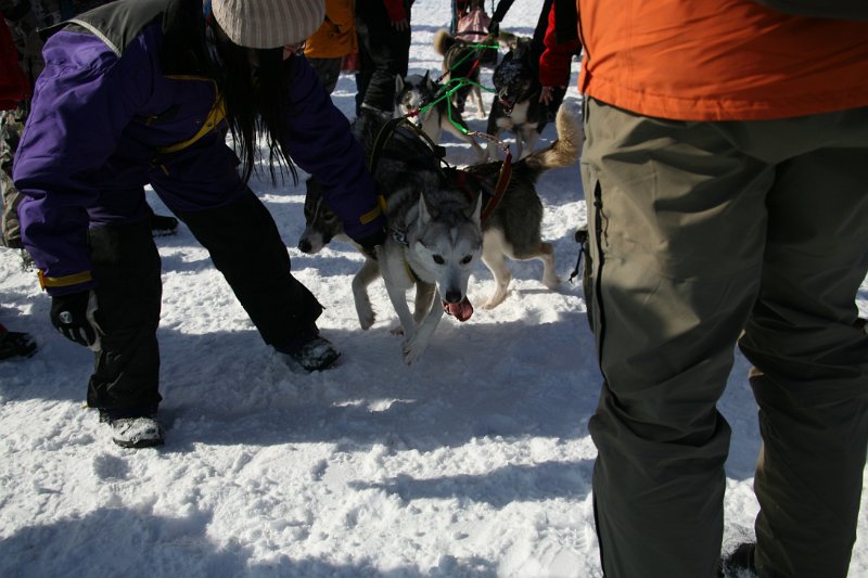 IMG_1441.JPG